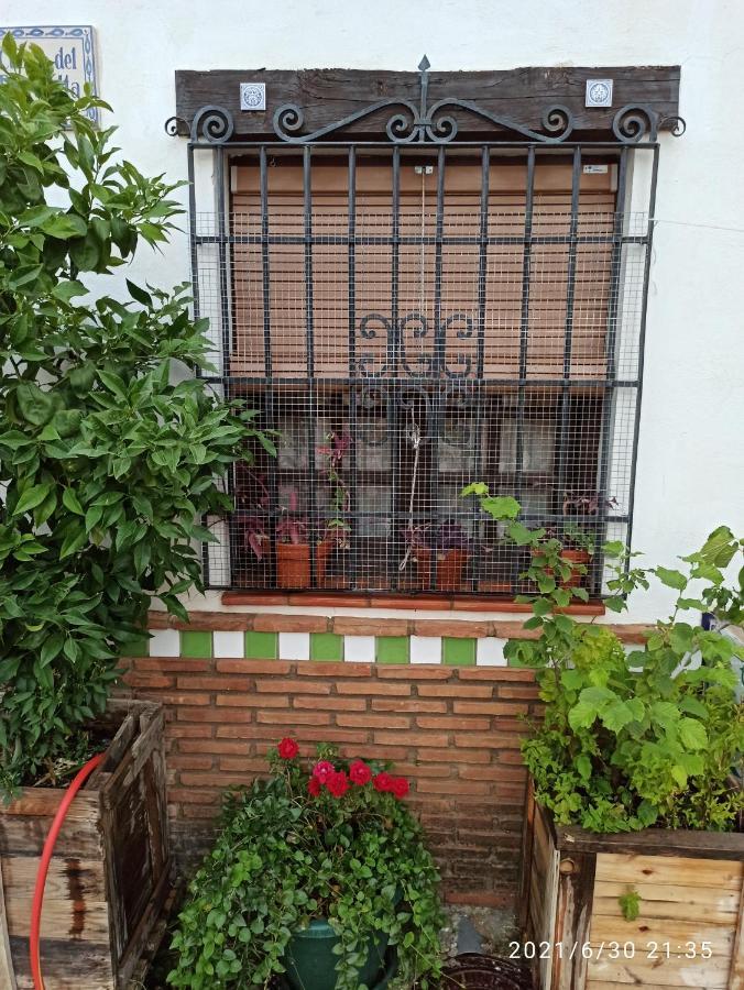 La Casita De Paco Albaicin Διαμέρισμα Γρανάδα Εξωτερικό φωτογραφία