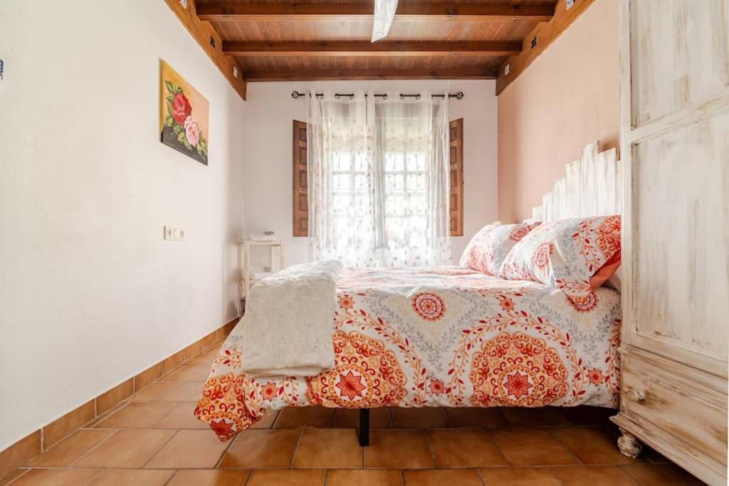 La Casita De Paco Albaicin Διαμέρισμα Γρανάδα Εξωτερικό φωτογραφία